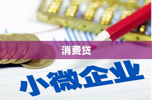 河西消费贷