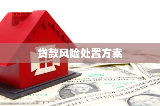 河西贷款风险处置方案