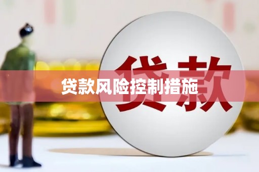 河西贷款风险控制措施